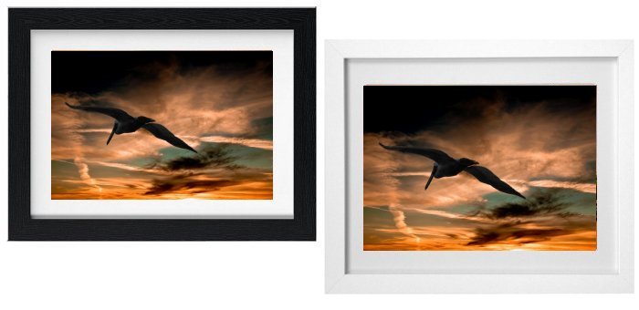 Select Your Frame